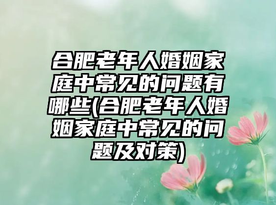 合肥老年人婚姻家庭中常見的問題有哪些(合肥老年人婚姻家庭中常見的問題及對策)