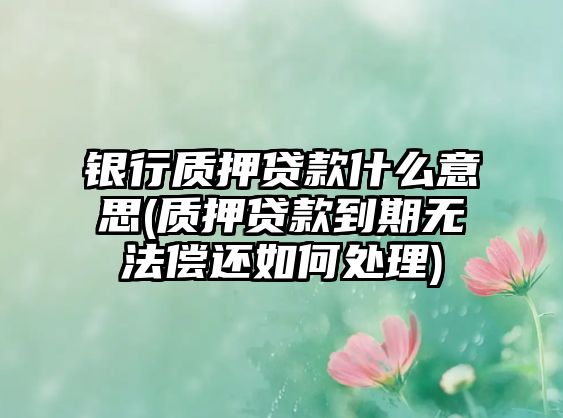 銀行質押貸款什么意思(質押貸款到期無法償還如何處理)