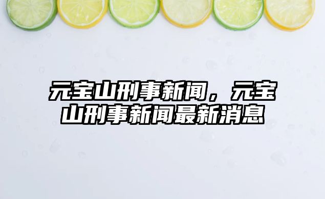 元寶山刑事新聞，元寶山刑事新聞最新消息