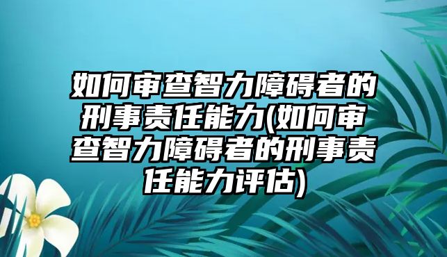 如何審查智力障礙者的刑事責(zé)任能力(如何審查智力障礙者的刑事責(zé)任能力評(píng)估)