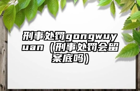 刑事處罰gongwuyuan（刑事處罰會留案底嗎）