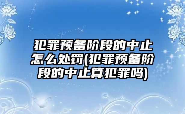 犯罪預備階段的中止怎么處罰(犯罪預備階段的中止算犯罪嗎)