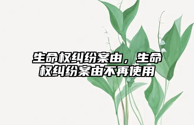 生命權糾紛案由，生命權糾紛案由不再使用