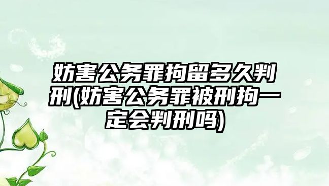 妨害公務罪拘留多久判刑(妨害公務罪被刑拘一定會判刑嗎)