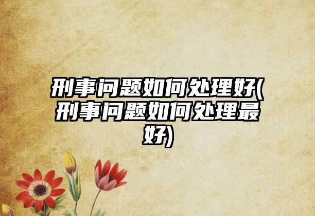 刑事問題如何處理好(刑事問題如何處理最好)