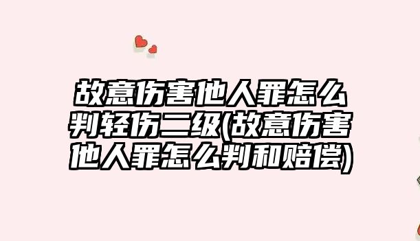 故意傷害他人罪怎么判輕傷二級(故意傷害他人罪怎么判和賠償)