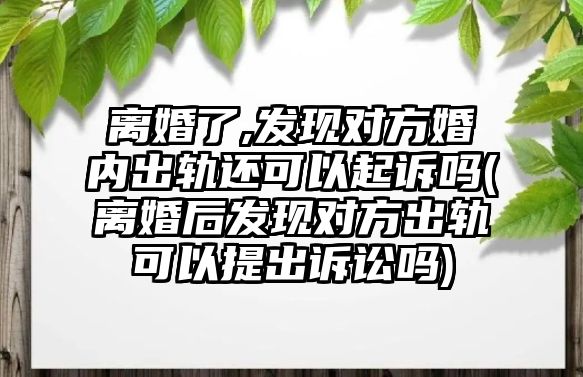 離婚了,發(fā)現(xiàn)對方婚內(nèi)出軌還可以起訴嗎(離婚后發(fā)現(xiàn)對方出軌可以提出訴訟嗎)