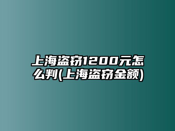 上海盜竊1200元怎么判(上海盜竊金額)