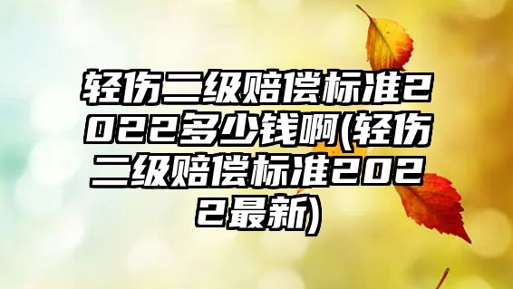 輕傷二級(jí)賠償標(biāo)準(zhǔn)2022多少錢啊(輕傷二級(jí)賠償標(biāo)準(zhǔn)2022最新)