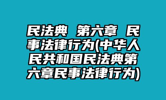 民法典 第六章 民事法律行為(中華人民共和國(guó)民法典第六章民事法律行為)