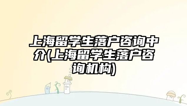 上海留學生落戶咨詢中介(上海留學生落戶咨詢機構)