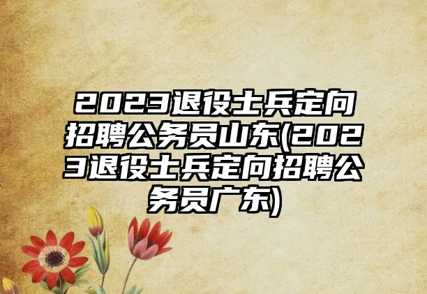 2023退役士兵定向招聘公務(wù)員山東(2023退役士兵定向招聘公務(wù)員廣東)