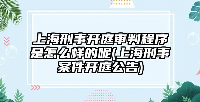 上海刑事開庭審判程序是怎么樣的呢(上海刑事案件開庭公告)