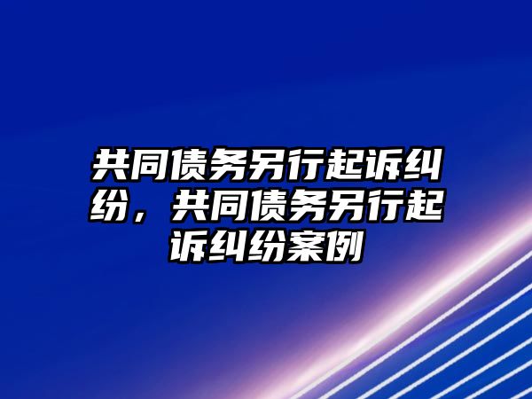 共同債務另行起訴糾紛，共同債務另行起訴糾紛案例