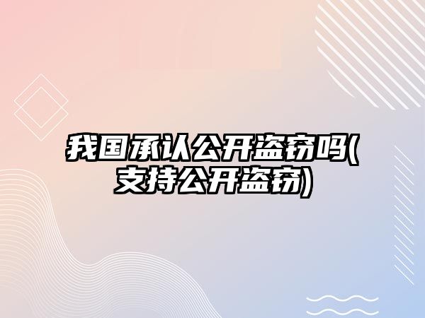 我國承認公開盜竊嗎(支持公開盜竊)