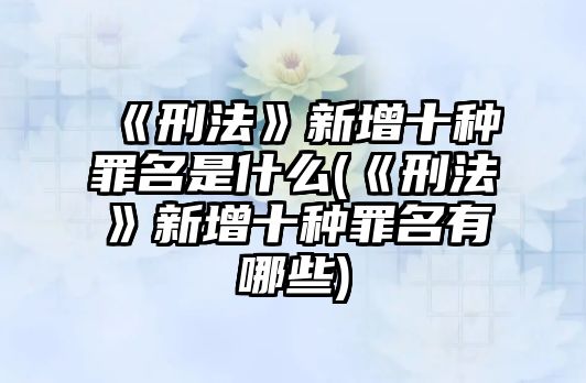 《刑法》新增十種罪名是什么(《刑法》新增十種罪名有哪些)