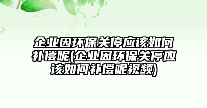 企業(yè)因環(huán)保關(guān)停應(yīng)該如何補償呢(企業(yè)因環(huán)保關(guān)停應(yīng)該如何補償呢視頻)