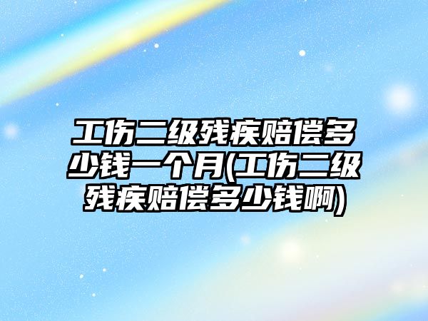 工傷二級(jí)殘疾賠償多少錢一個(gè)月(工傷二級(jí)殘疾賠償多少錢啊)