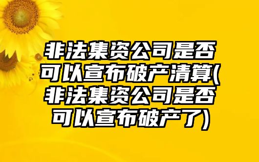 非法集資公司是否可以宣布破產清算(非法集資公司是否可以宣布破產了)