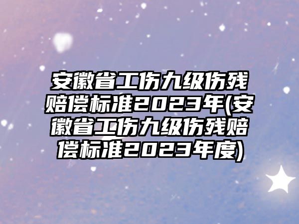 安徽省工傷九級傷殘賠償標準2023年(安徽省工傷九級傷殘賠償標準2023年度)