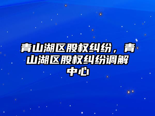 青山湖區股權糾紛，青山湖區股權糾紛調解中心