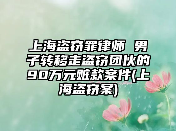 上海盜竊罪律師 男子轉移走盜竊團伙的90萬元贓款案件(上海盜竊案)