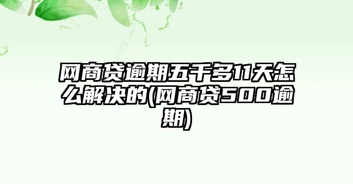 網商貸逾期五千多11天怎么解決的(網商貸500逾期)