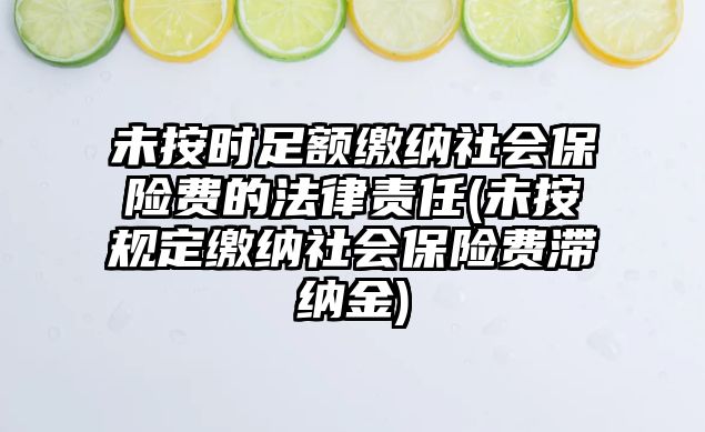 未按時足額繳納社會保險費的法律責任(未按規(guī)定繳納社會保險費滯納金)