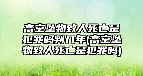 高空墜物致人死亡是犯罪嗎判幾年(高空墜物致人死亡是犯罪嗎)