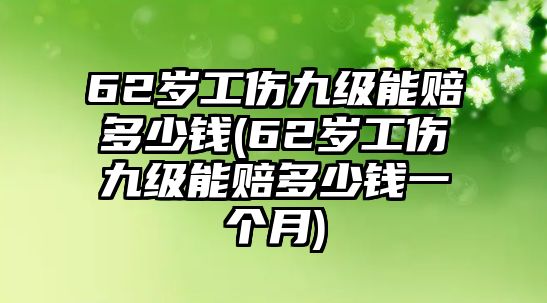 62歲工傷九級能賠多少錢(62歲工傷九級能賠多少錢一個月)