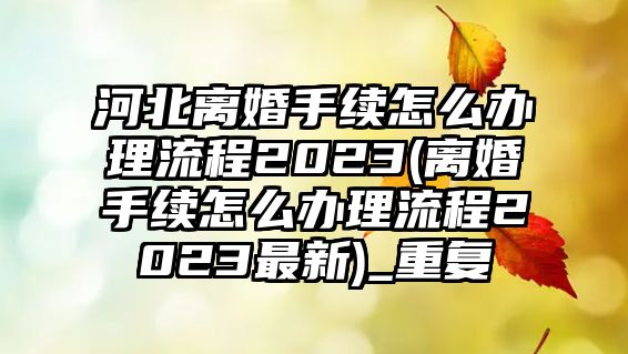 河北離婚手續(xù)怎么辦理流程2023(離婚手續(xù)怎么辦理流程2023最新)_重復