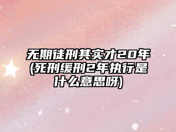 無(wú)期徒刑其實(shí)才20年(死刑緩刑2年執(zhí)行是什么意思呀)