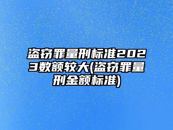 盜竊罪量刑標準2023數額較大(盜竊罪量刑金額標準)