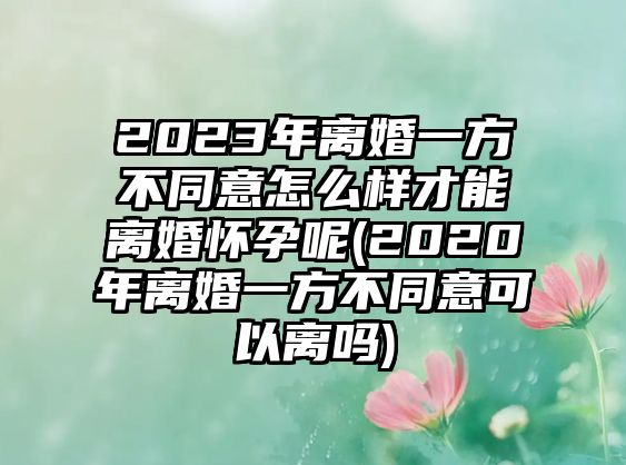 2023年離婚一方不同意怎么樣才能離婚懷孕呢(2020年離婚一方不同意可以離嗎)