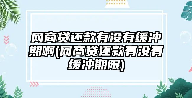 網(wǎng)商貸還款有沒有緩沖期啊(網(wǎng)商貸還款有沒有緩沖期限)