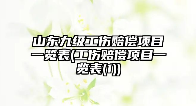 山東九級工傷賠償項目一覽表(工傷賠償項目一覽表(1))