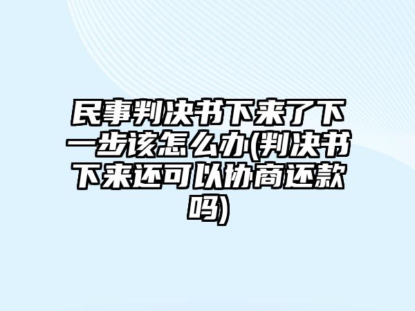 民事判決書下來了下一步該怎么辦(判決書下來還可以協(xié)商還款嗎)