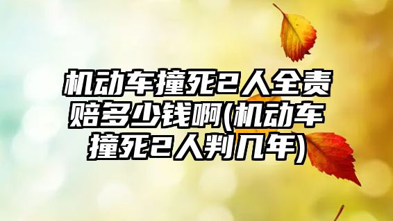 機動車撞死2人全責賠多少錢啊(機動車撞死2人判幾年)