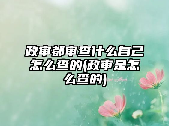 政審都審查什么自己怎么查的(政審是怎么查的)