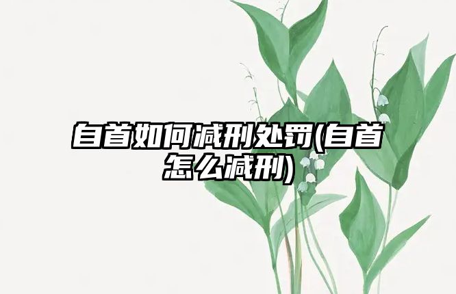 自首如何減刑處罰(自首怎么減刑)