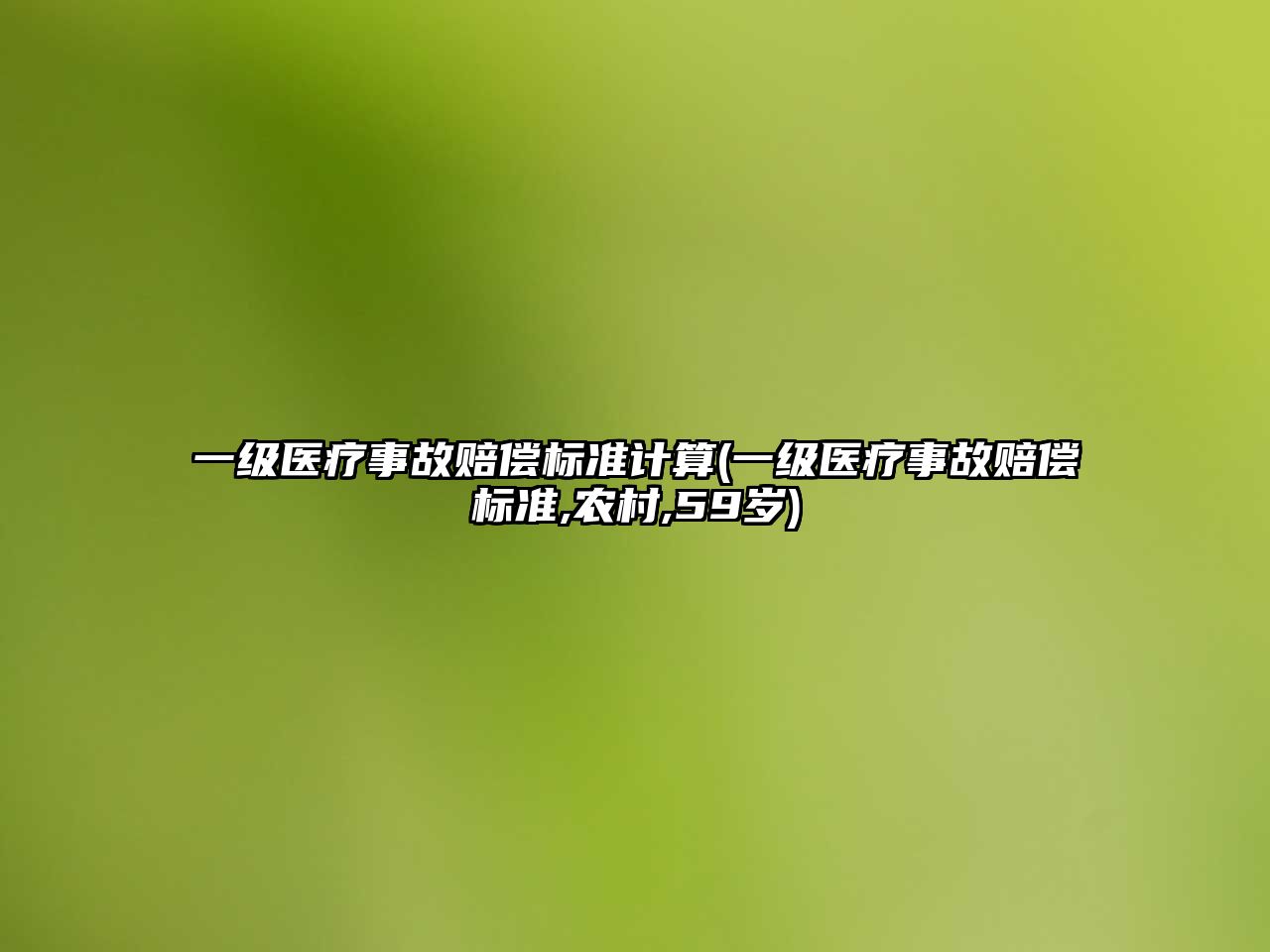 一級醫療事故賠償標準計算(一級醫療事故賠償標準,農村,59歲)