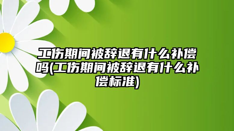 工傷期間被辭退有什么補償嗎(工傷期間被辭退有什么補償標準)