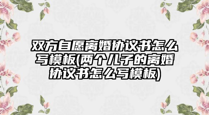 雙方自愿離婚協(xié)議書怎么寫模板(兩個兒子的離婚協(xié)議書怎么寫模板)