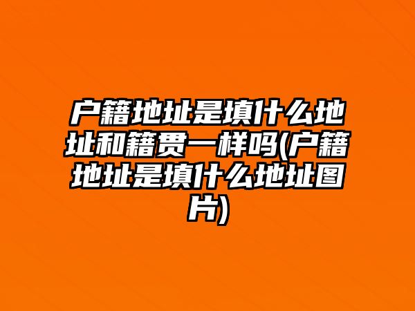 戶籍地址是填什么地址和籍貫一樣嗎(戶籍地址是填什么地址圖片)