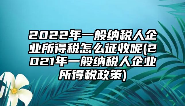 2022年一般納稅人企業(yè)所得稅怎么征收呢(2021年一般納稅人企業(yè)所得稅政策)