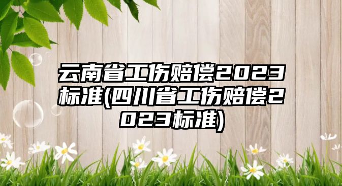 云南省工傷賠償2023標(biāo)準(zhǔn)(四川省工傷賠償2023標(biāo)準(zhǔn))