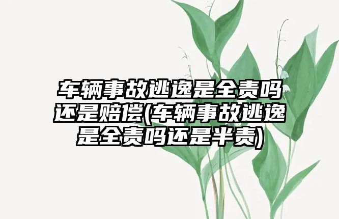 車輛事故逃逸是全責嗎還是賠償(車輛事故逃逸是全責嗎還是半責)