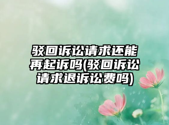 駁回訴訟請求還能再起訴嗎(駁回訴訟請求退訴訟費嗎)