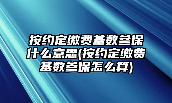 按約定繳費基數參保什么意思(按約定繳費基數參保怎么算)