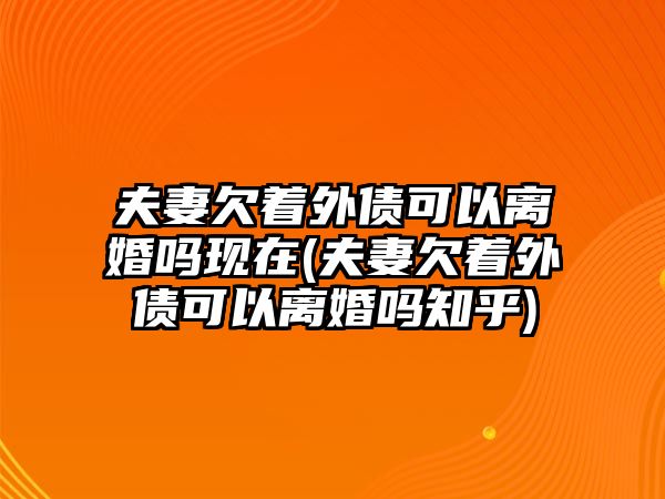 夫妻欠著外債可以離婚嗎現在(夫妻欠著外債可以離婚嗎知乎)